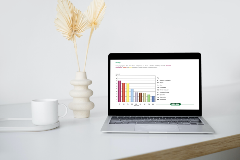 Belbin Job report